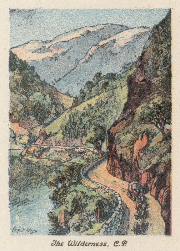 África do Sul: The Wilderness, CP (litografia a cores) de Charles Ernest Peers