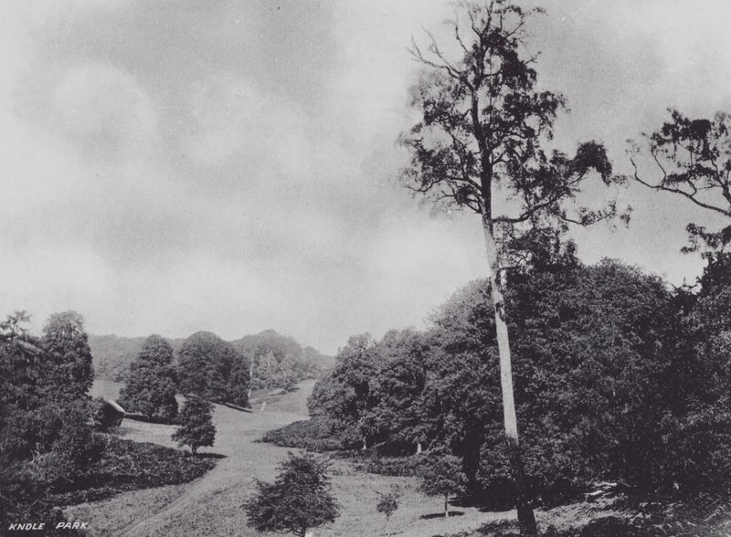 Knole Park (foto a p/b) de Charles Essenhigh Corke