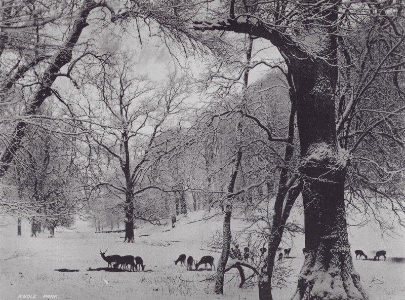 Knole Park (foto a p/b) de Charles Essenhigh Corke