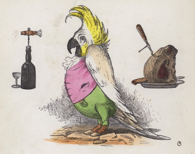 Catatua gananciosa (gravura colorida) de Charles Henry (after) Bennett