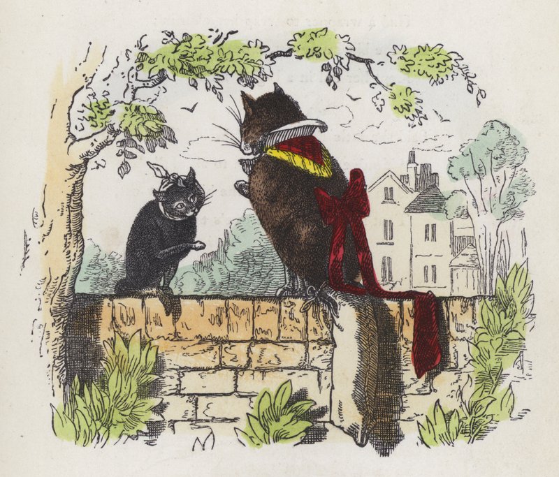 Dois gatos na parede de um jardim (gravação colorida) de Charles Henry (after) Bennett