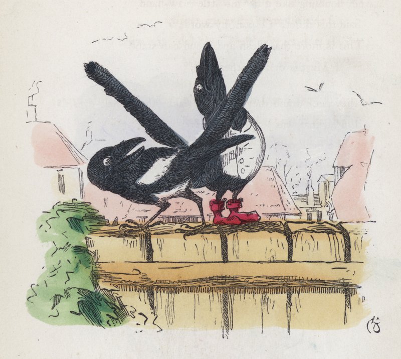 Duas pegas numa vedação de jardim (gravura colorida) de Charles Henry (after) Bennett