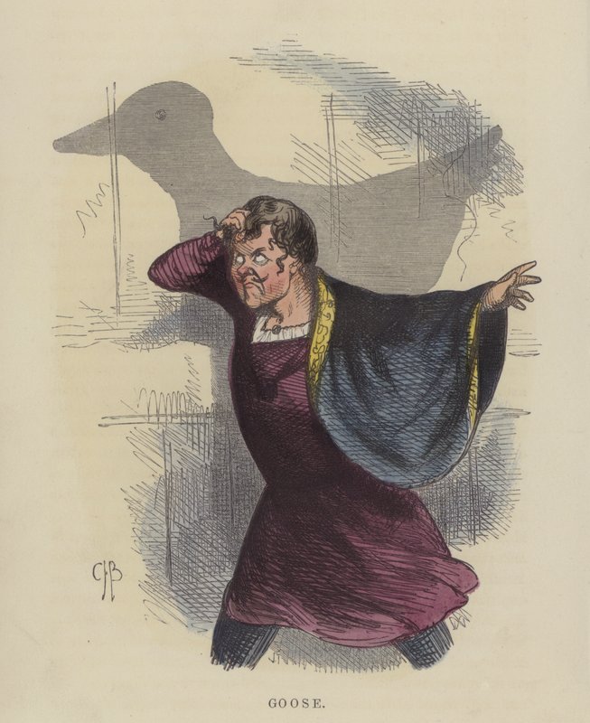 Goose (gravação a cores) de Charles Henry Bennett