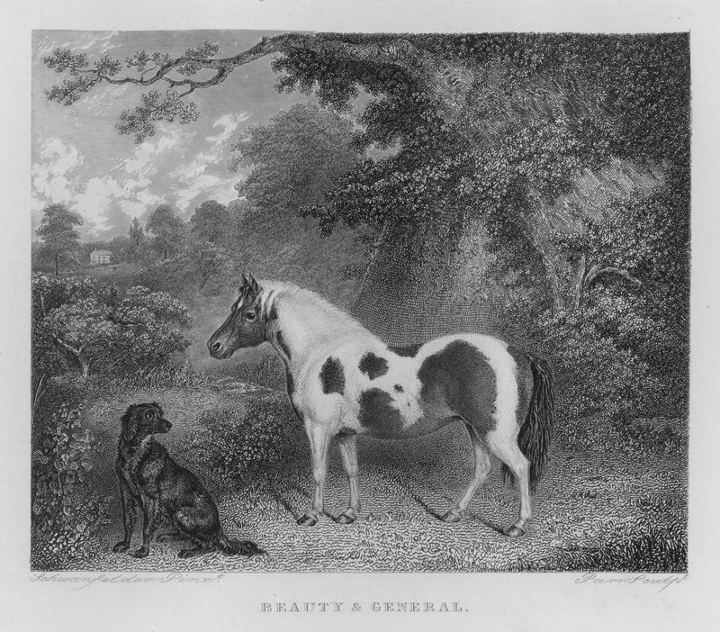 Beleza e Geral (gravura) de Charles Henry Schwanfelder