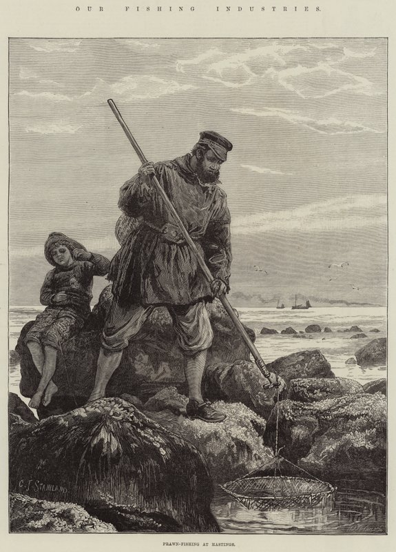 Nossas indústrias pesqueiras, pesca com camarão em Hastings de Charles J. Staniland