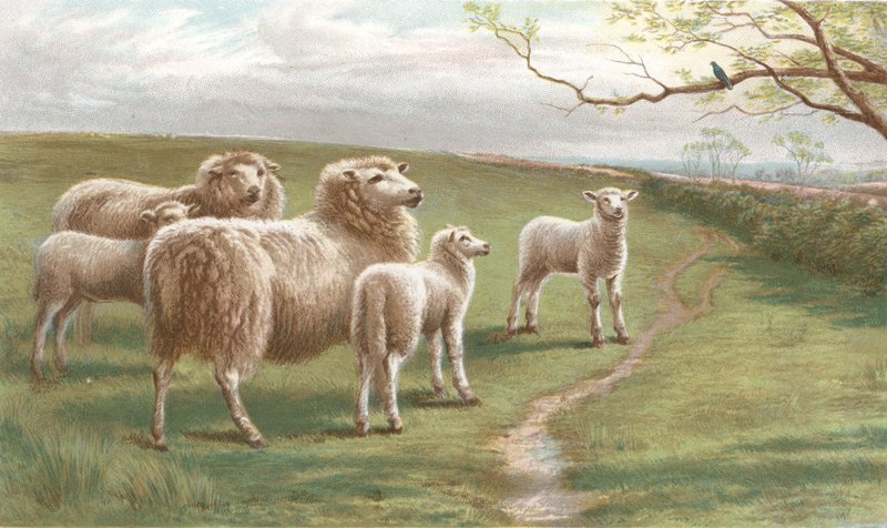 Uma canção da primavera (chromolitho) de Charles Jones