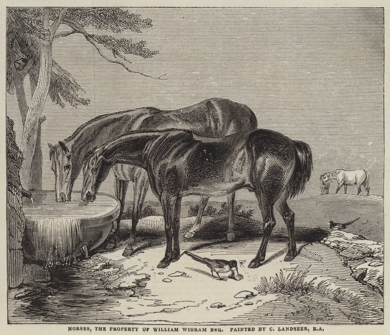 Cavalos, a propriedade de William Wigram, Esquire de Charles Landseer