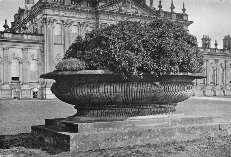 Um vaso de pedra (foto a p/b) de Charles Latham