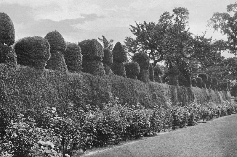 Fulford Hall: trabalho de topiaria excêntrica de Charles Latham