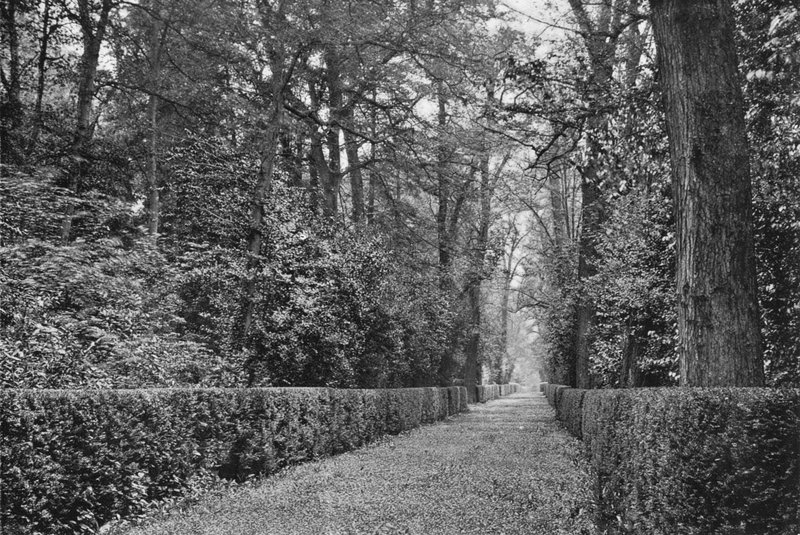 A caminhada do cão de Charles Latham