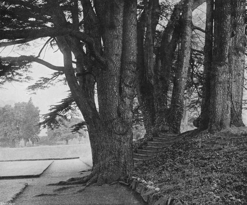 Os Passos de Jardim (foto a p/b) de Charles Latham