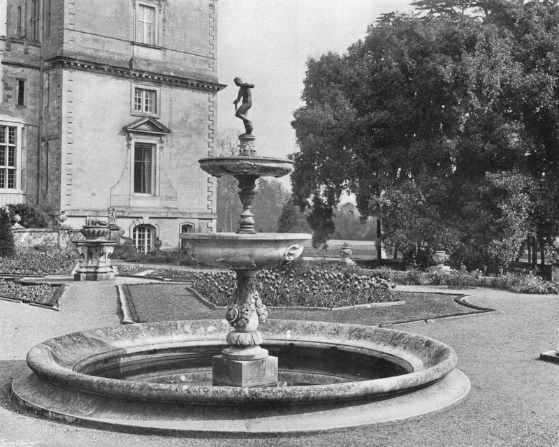 O Ilex e a Fonte de Charles Latham