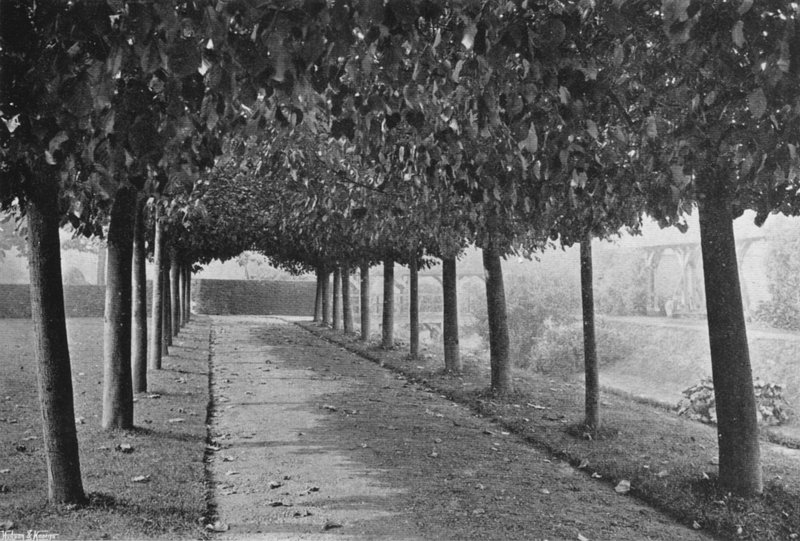A Caminhada Pleached (foto a p/b) de Charles Latham