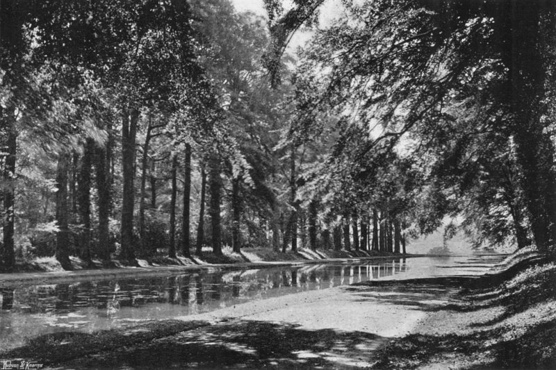 O lago T de Charles Latham