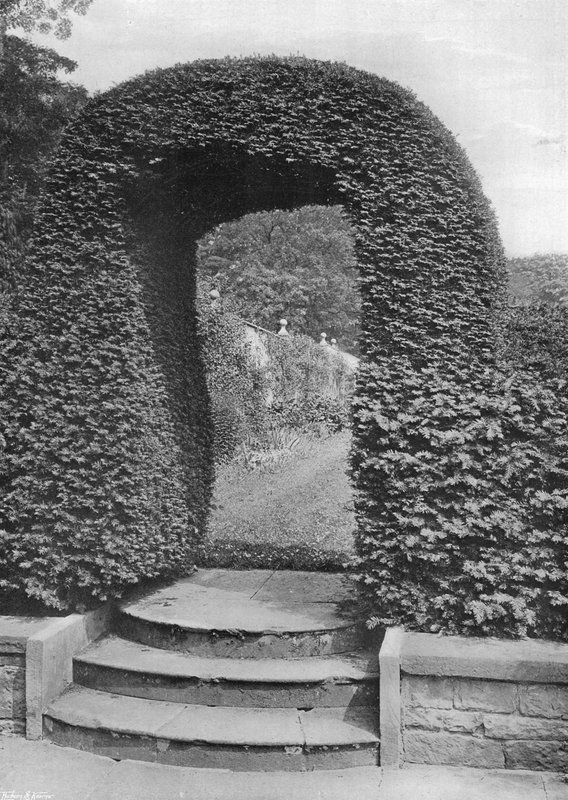 Para o jardim da cozinha de Charles Latham