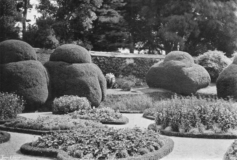 Sob o Ilex de Charles Latham
