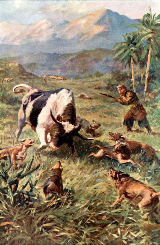 Caçando gado selvagem no Haiti de Charles Mills Sheldon