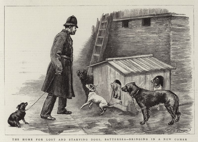 O Lar dos Cães Perdidos e Famintos, Battersea, trazendo um Novo Comer de Charles Paul Renouard