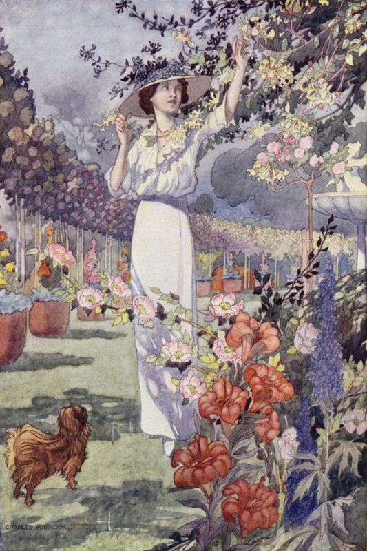 O nosso Jardim Sentimental: O Hemiciclo (cor litho) de Charles Robinson