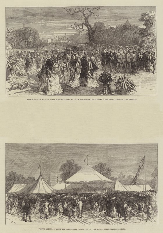 Príncipe Arthur na exposição da Royal Horticultural Society em Birmingham de Sir John Charles Robinson