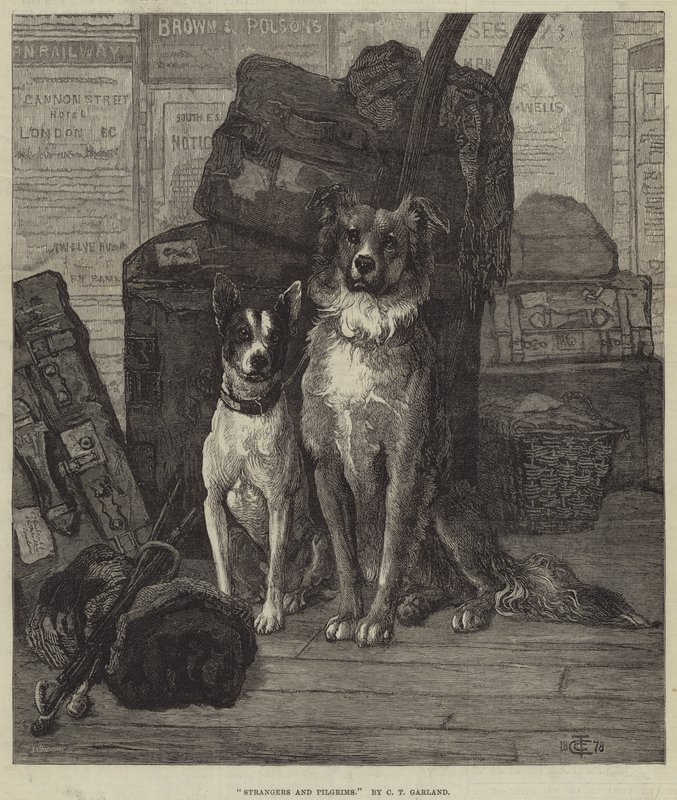 Estranhos e peregrinos de Charles Trevor Garland