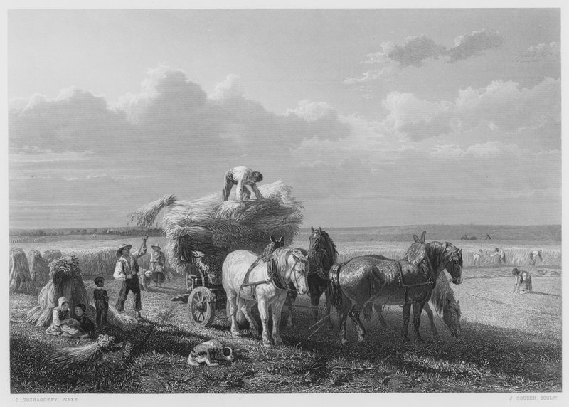 O Campo de Colheita, da foto da Coleção Real (gravura) de Charles Tschaggeny