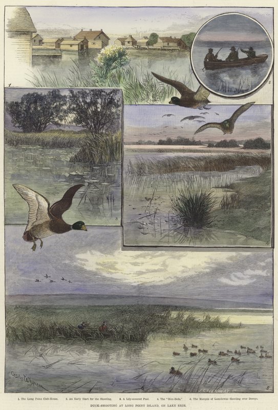 Tiro de pato em Long Point Island de Charles Whymper