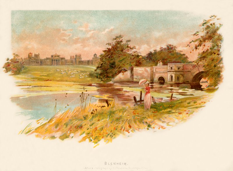 Blenheim de Charles Wilkinson