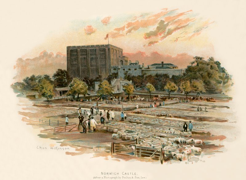 Castelo de Norwich de Charles Wilkinson