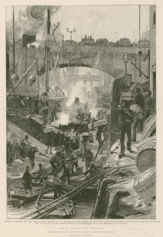 Fruta dos trópicos (gravura) de Charles William Wyllie
