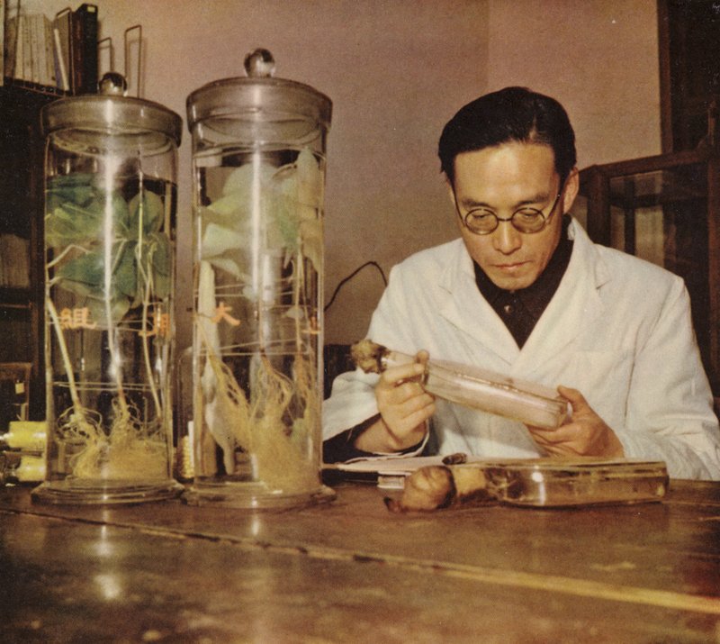 Químico agrícola chinês do Instituto de Pesquisa de Changchun, República Popular da China, década de 1950 de Chinese Photographer