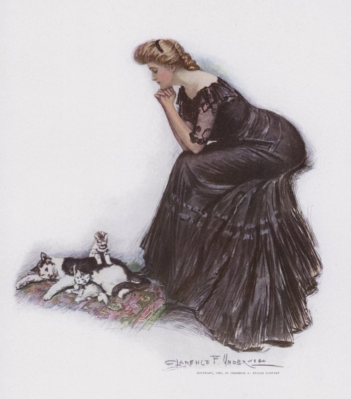 Mulher, observar, um, gato, e, dela, gatinhos de Clarence F. Underwood