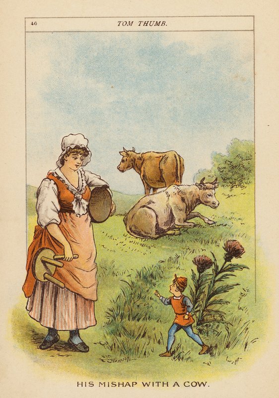 Tom Thumb (litografia a cores) de Constance Haslewood