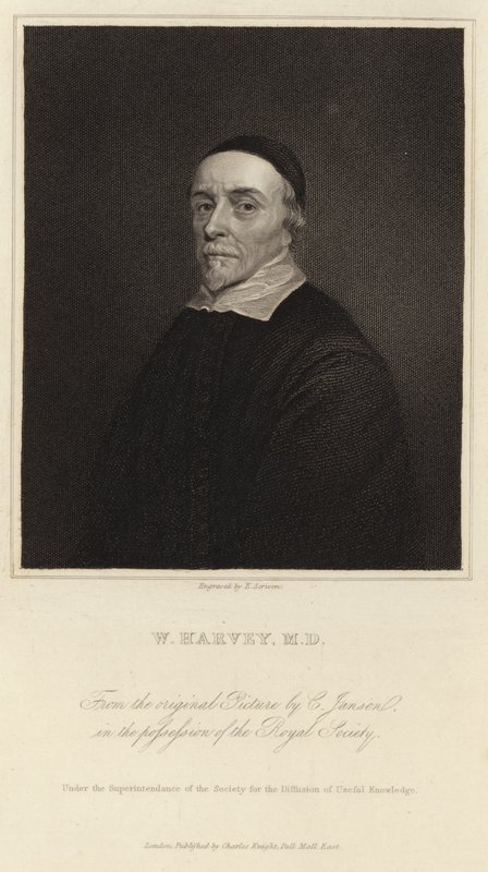 William Harvey de Cornelius Janssen van Ceulen