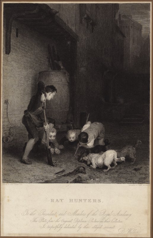 Caçadores de ratos de David Wilkie