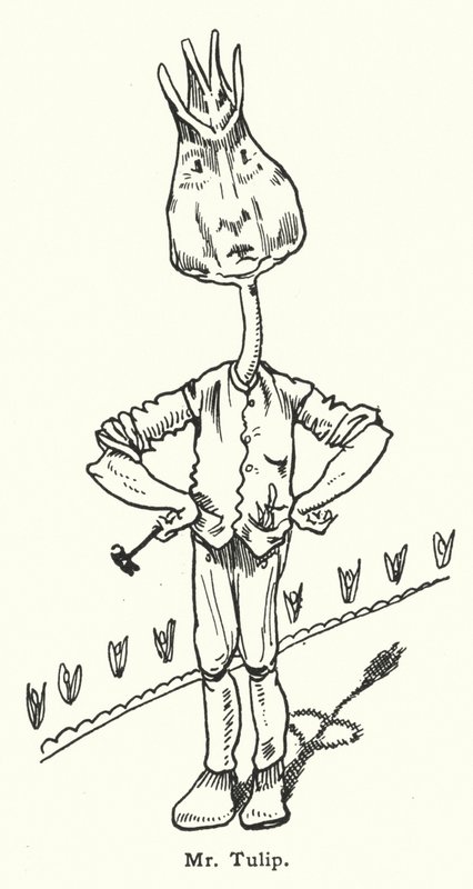 Mr Tulip de Dion Clayton Calthrop