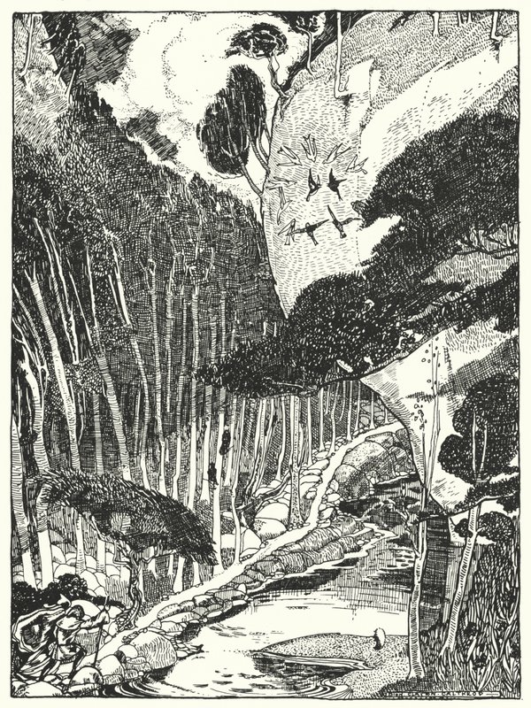 A Floresta Dim (gravura) de Dion Clayton Calthrop