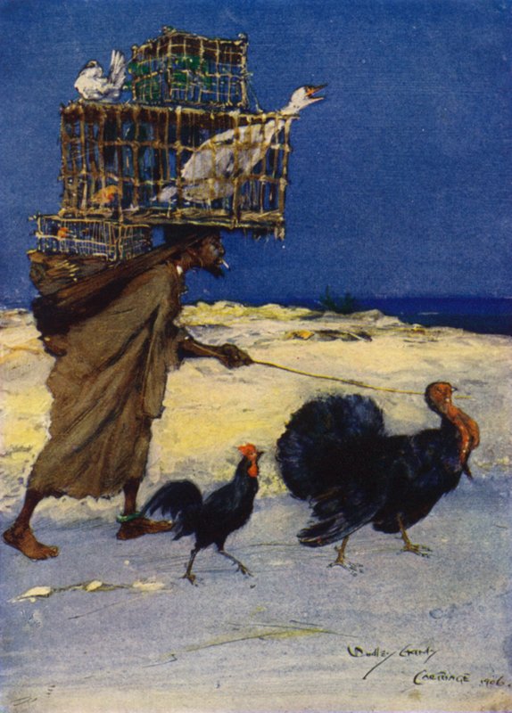 The Bird Fancier, Cartago, Tunísia de Dudley Hardy