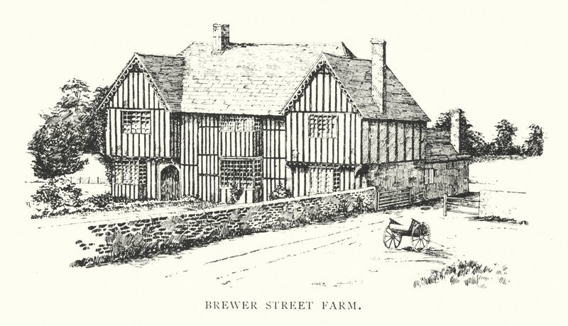 Quinta de Brewer Street (litografia) de Duncan Moul