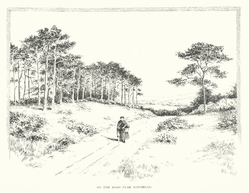Na estrada perto de Hindhead (litografia) de Duncan Moul