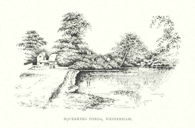 Squerryes Ponds, Westerham (litografia) de Duncan Moul