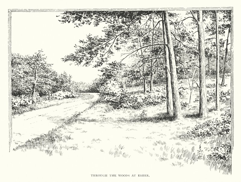 Através dos bosques em Esher (litografia) de Duncan Moul