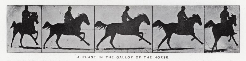 Eadweard Muybridge: Uma fase no galope do cavalo (foto a p/b) de Eadweard Muybridge
