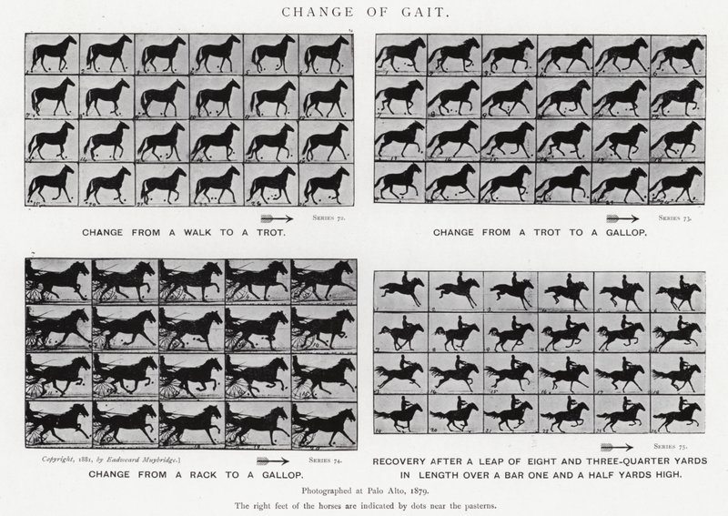 Eadweard Muybridge: Mudança de marcha (foto a p/b) de Eadweard Muybridge