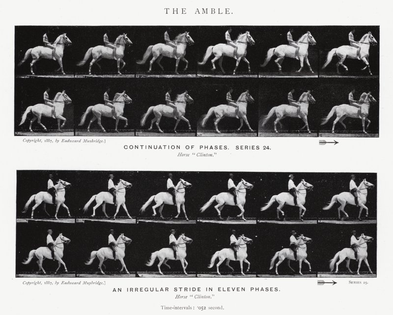 Eadweard Muybridge: O Âmbar (foto a p/b) de Eadweard Muybridge