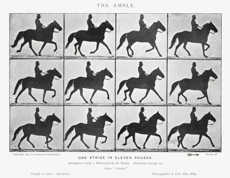 Eadweard Muybridge: O Âmbar (foto a p/b) de Eadweard Muybridge