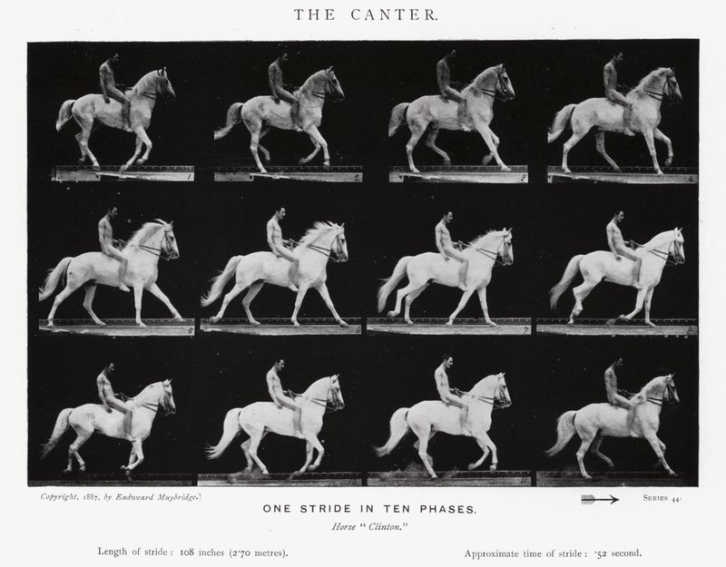 Eadweard Muybridge: O Canter (foto a p/b) de Eadweard Muybridge