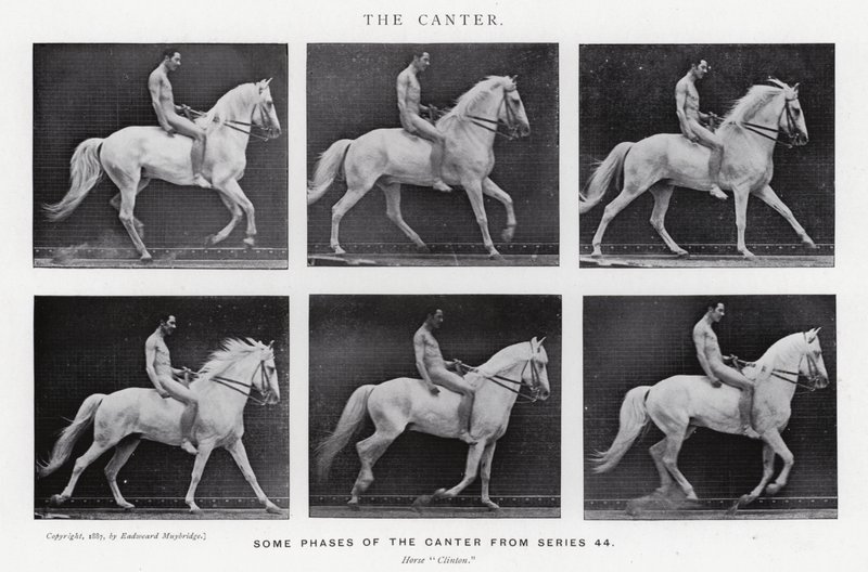Eadweard Muybridge: O Canter (foto a p/b) de Eadweard Muybridge