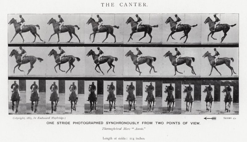 Eadweard Muybridge: O Canter (foto a p/b) de Eadweard Muybridge