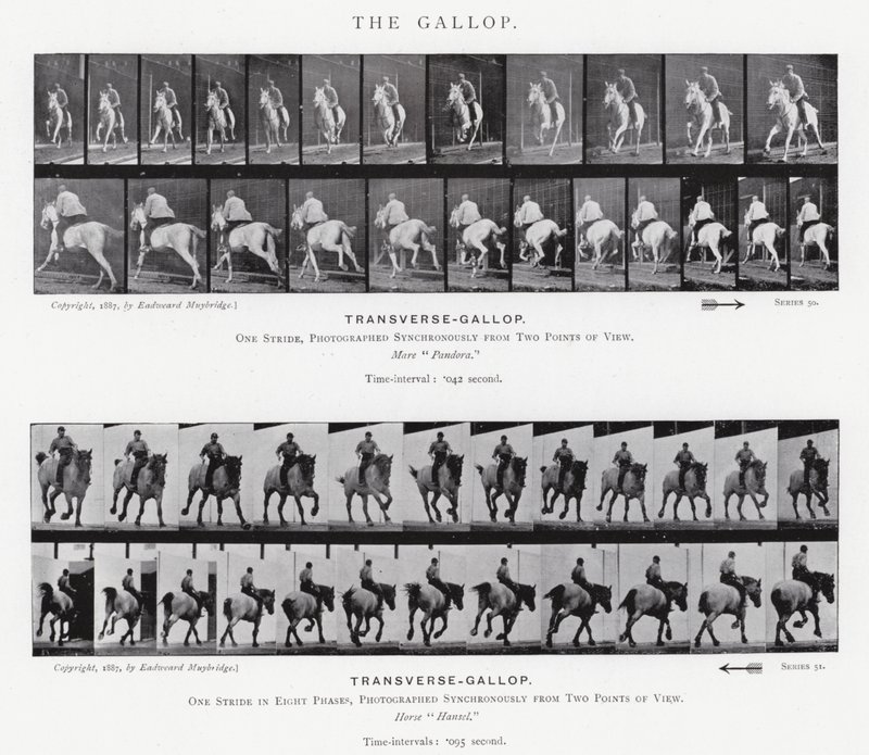 Eadweard Muybridge: O Galope (foto a p/b) de Eadweard Muybridge